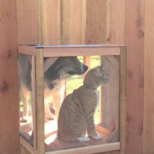 Pet look out holes