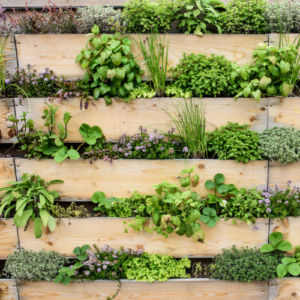 Vertical Herb Garden